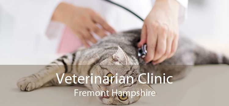 Veterinarian Clinic Fremont Hampshire