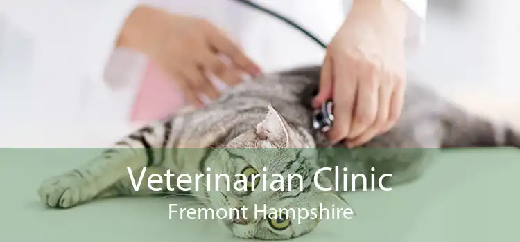 Veterinarian Clinic Fremont Hampshire