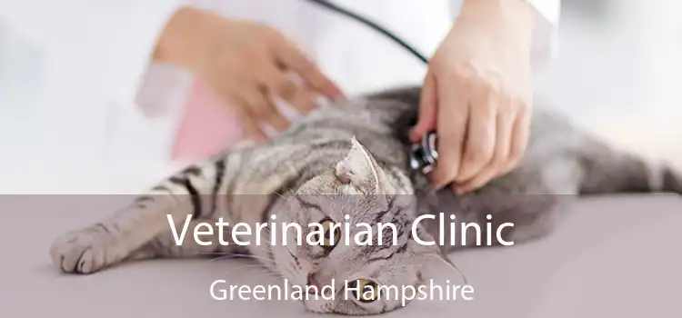 Veterinarian Clinic Greenland Hampshire