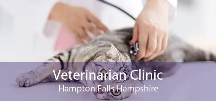 Veterinarian Clinic Hampton Falls Hampshire
