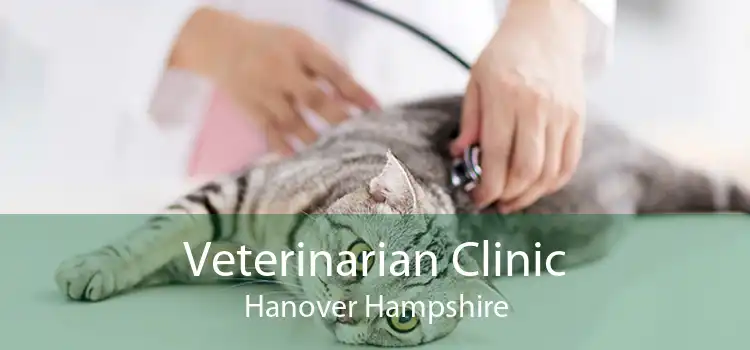 Veterinarian Clinic Hanover Hampshire