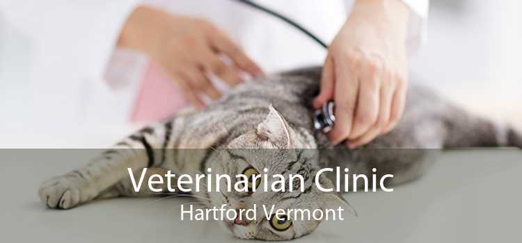 Veterinarian Clinic Hartford Vermont