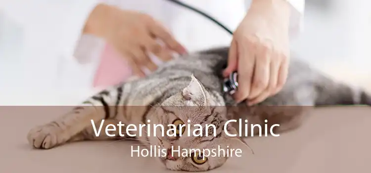 Veterinarian Clinic Hollis Hampshire