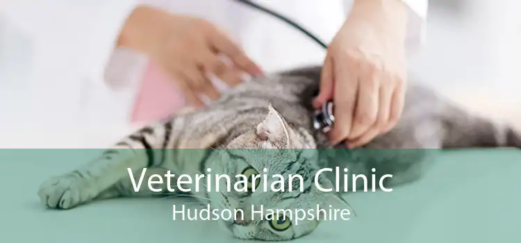 Veterinarian Clinic Hudson Hampshire
