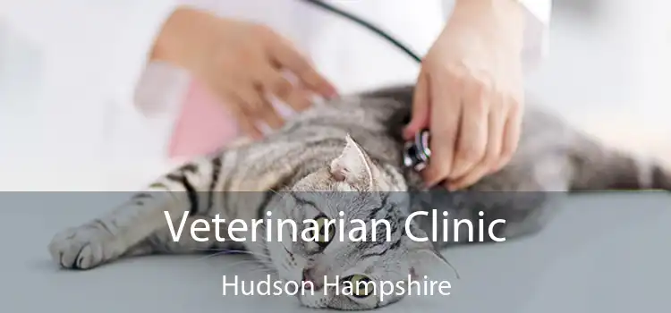 Veterinarian Clinic Hudson Hampshire