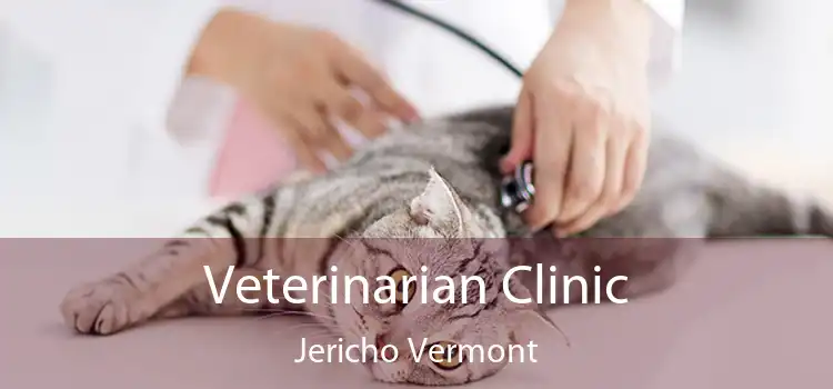 Veterinarian Clinic Jericho Vermont