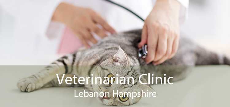 Veterinarian Clinic Lebanon Hampshire