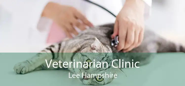 Veterinarian Clinic Lee Hampshire