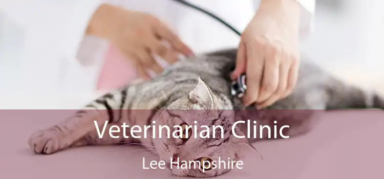 Veterinarian Clinic Lee Hampshire