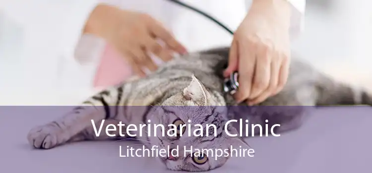Veterinarian Clinic Litchfield Hampshire