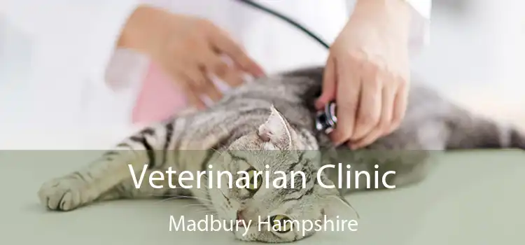 Veterinarian Clinic Madbury Hampshire