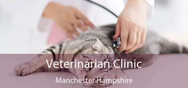 Veterinarian Clinic Manchester Hampshire