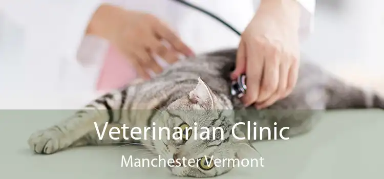 Veterinarian Clinic Manchester Vermont