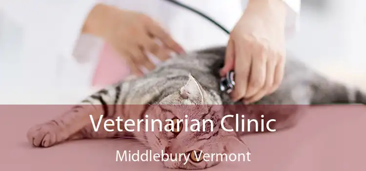 Veterinarian Clinic Middlebury Vermont