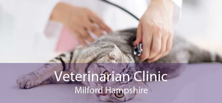 Veterinarian Clinic Milford Hampshire