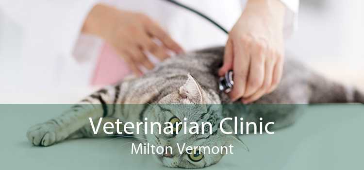 Veterinarian Clinic Milton Vermont