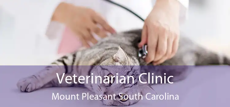 Veterinarian Clinic Mount Pleasant South Carolina