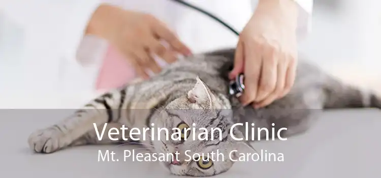 Veterinarian Clinic Mt. Pleasant South Carolina