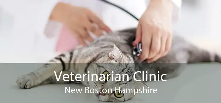 Veterinarian Clinic New Boston Hampshire