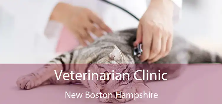 Veterinarian Clinic New Boston Hampshire