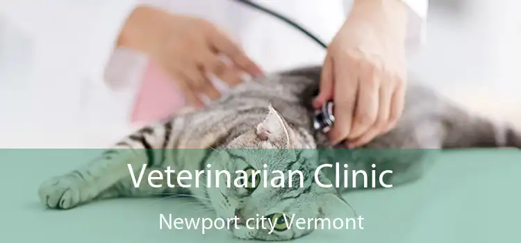 Veterinarian Clinic Newport city Vermont