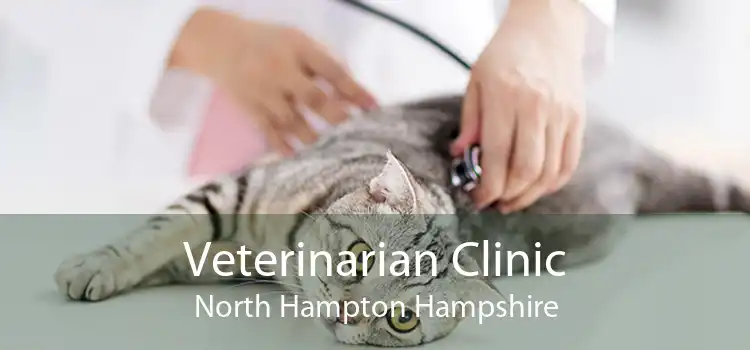 Veterinarian Clinic North Hampton Hampshire