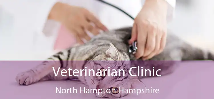 Veterinarian Clinic North Hampton Hampshire