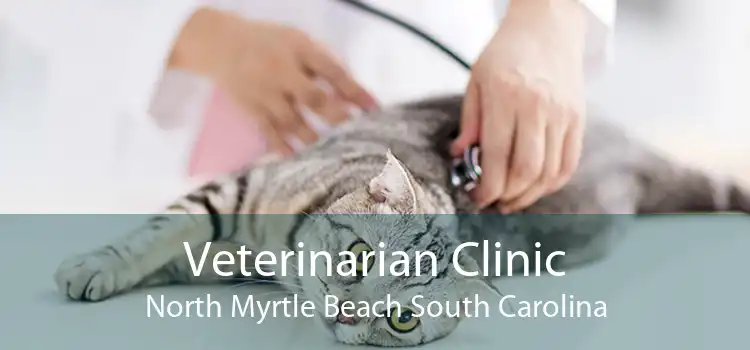 Veterinarian Clinic North Myrtle Beach South Carolina