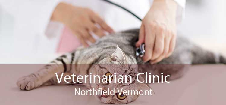 Veterinarian Clinic Northfield Vermont