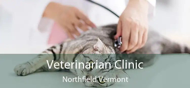 Veterinarian Clinic Northfield Vermont