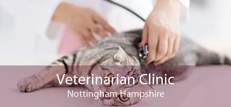 Veterinarian Clinic Nottingham Hampshire