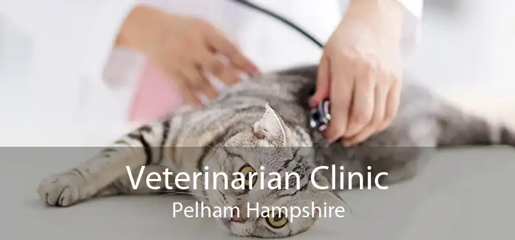 Veterinarian Clinic Pelham Hampshire