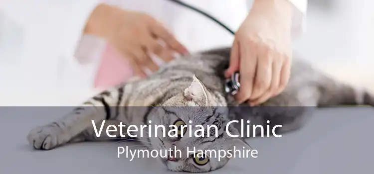 Veterinarian Clinic Plymouth Hampshire