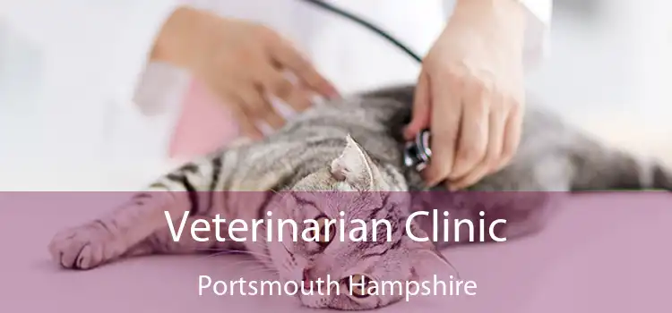 Veterinarian Clinic Portsmouth Hampshire