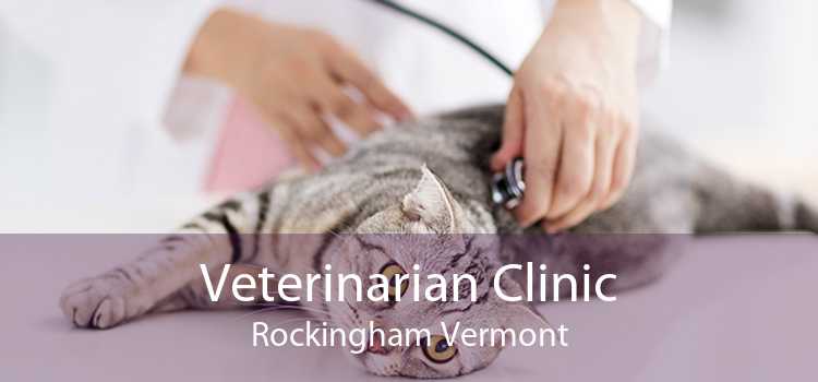 Veterinarian Clinic Rockingham Vermont