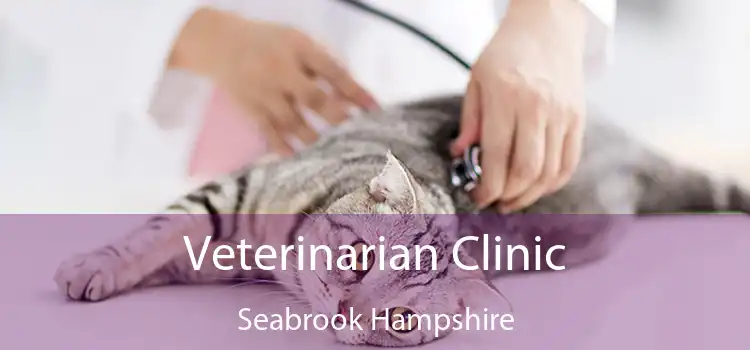 Veterinarian Clinic Seabrook Hampshire