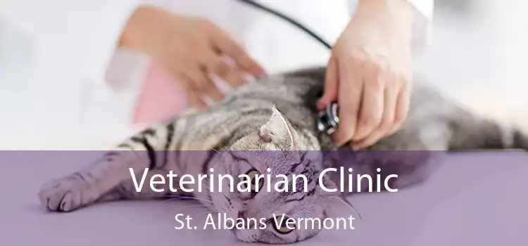 Veterinarian Clinic St. Albans Vermont