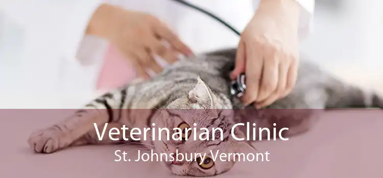 Veterinarian Clinic St. Johnsbury Vermont