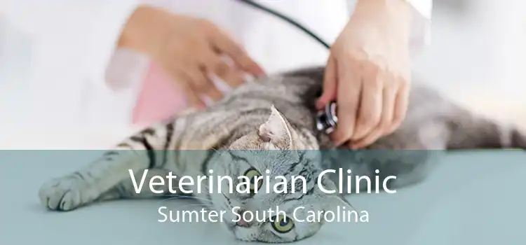 Veterinarian Clinic Sumter South Carolina
