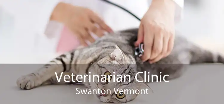 Veterinarian Clinic Swanton Vermont