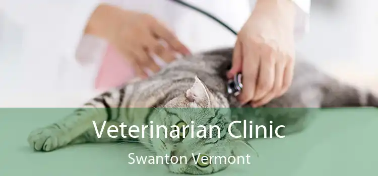 Veterinarian Clinic Swanton Vermont