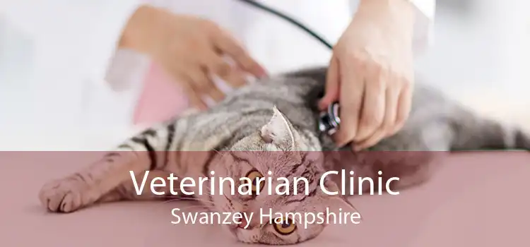 Veterinarian Clinic Swanzey Hampshire
