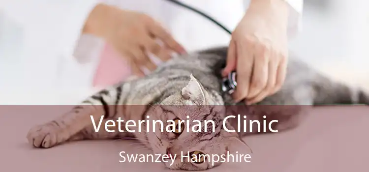 Veterinarian Clinic Swanzey Hampshire