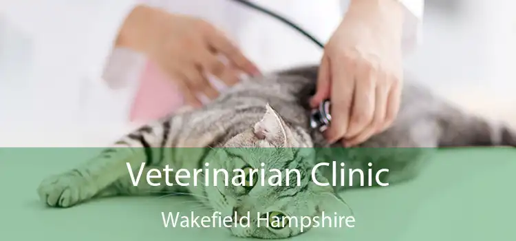 Veterinarian Clinic Wakefield Hampshire