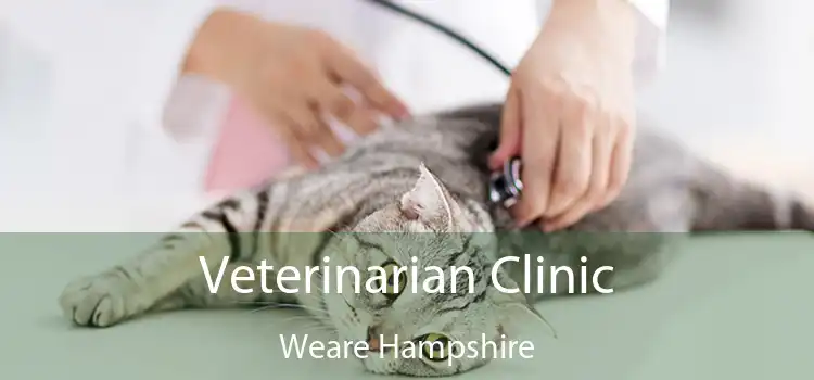 Veterinarian Clinic Weare Hampshire